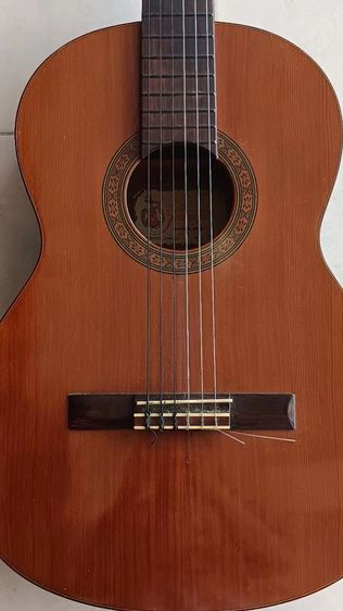 กีต้าโป่งValencai รูปที่ 15