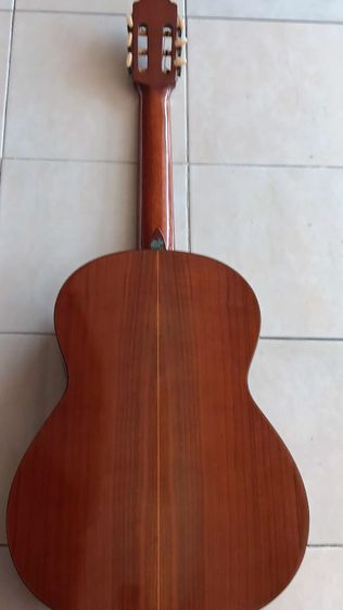 กีต้าโป่งValencai รูปที่ 5