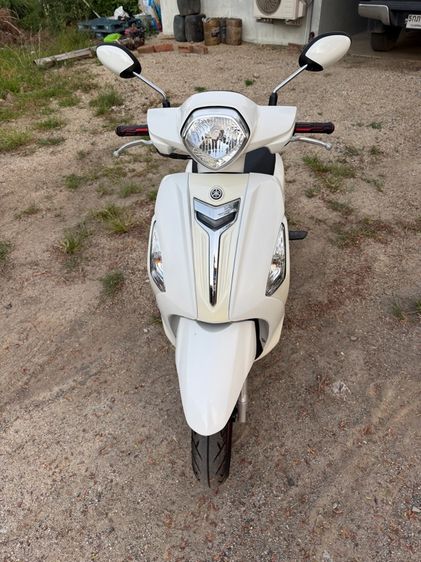 grand filano รูปที่ 3