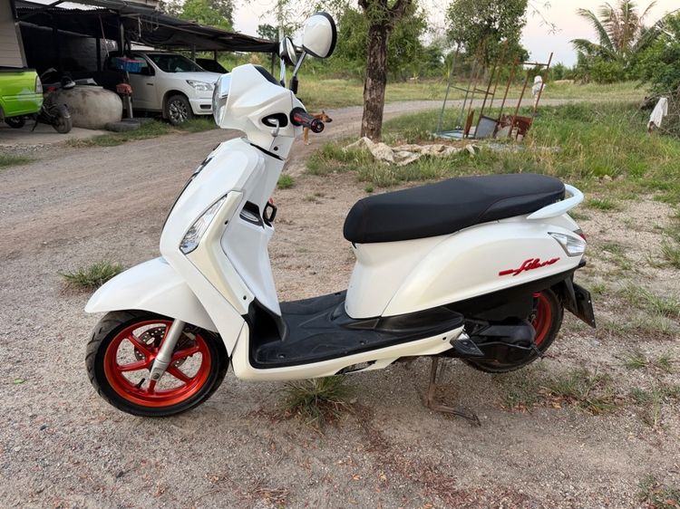 grand filano รูปที่ 2