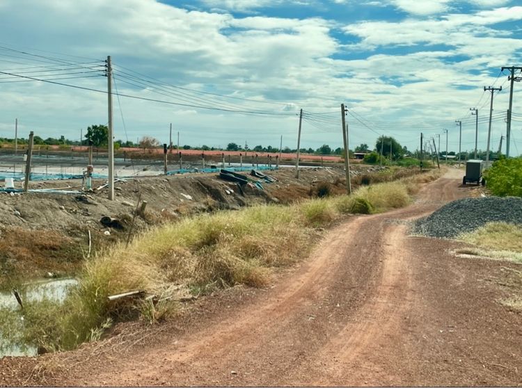 ที่ดินติดแม่น้ำบางปะกง 51 และ 53 ไร่ หน้ากว้างแปลงละ 500 ม รูปที่ 2