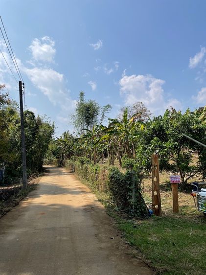 ขายด่วน รีบใช้เงิน รูปที่ 3