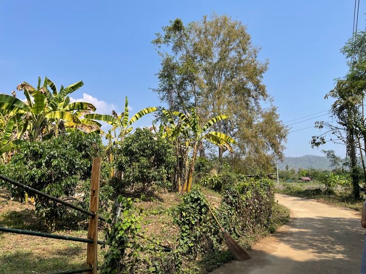 ขายด่วน รีบใช้เงิน รูปที่ 2