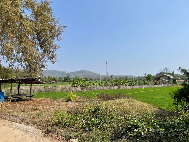 ขายด่วน รีบใช้เงิน