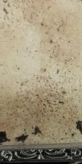 พระขุนแผน หงพราย หลวงพ่อกวย วัดโฆสิตราราม รูปที่ 4