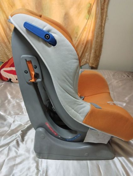 คาร์ซิท