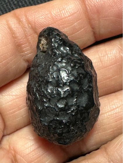 หมากทุยล.ป.เอี่ยม เก่า ลงรักเดิม รูปที่ 12