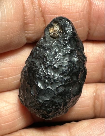 หมากทุยล.ป.เอี่ยม เก่า ลงรักเดิม รูปที่ 11