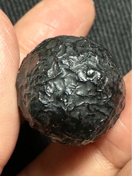 หมากทุยล.ป.เอี่ยม เก่า ลงรักเดิม รูปที่ 7