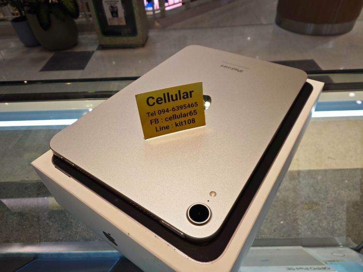 iPad mini7 128GB WiFi ไร้รอย ประกันศูนย์ไทย3เดือนกว่า ครบกล่อง รูปที่ 5
