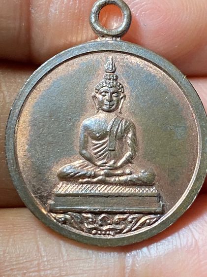 เหรียญหลวงปู่ทิมเนื้อนวะ รูปที่ 11