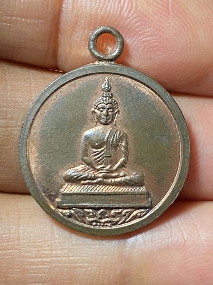 เหรียญหลวงปู่ทิมเนื้อนวะ รูปที่ 12