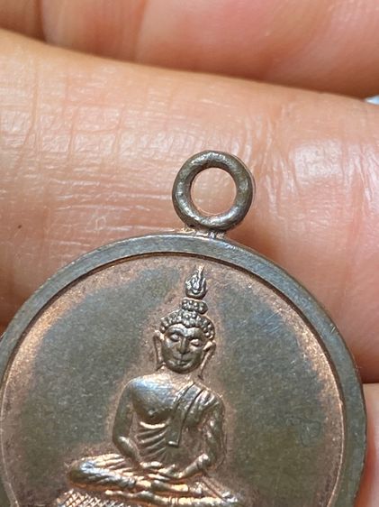เหรียญหลวงปู่ทิมเนื้อนวะ รูปที่ 6