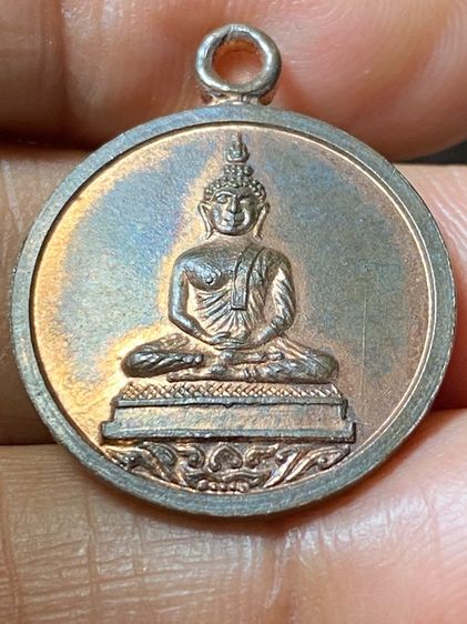 เหรียญหลวงปู่ทิมเนื้อนวะ รูปที่ 10