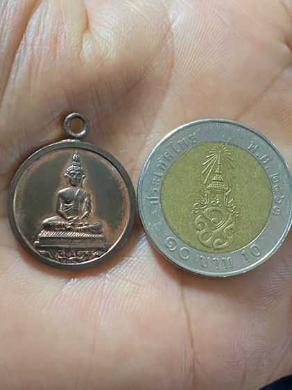 เหรียญหลวงปู่ทิมเนื้อนวะ รูปที่ 13