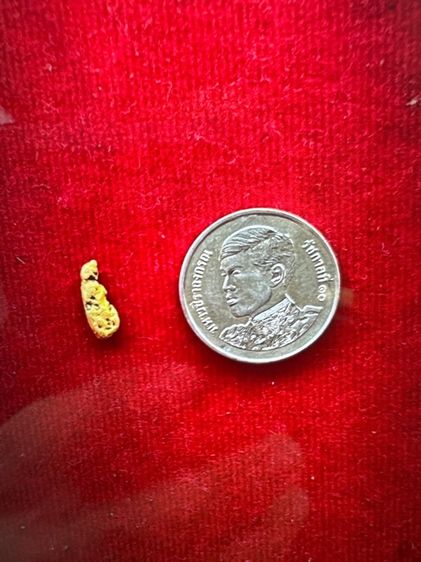 ขายทองนพคุณ 99.99 เปอร์เซ็น ทองธรรมชาติ 