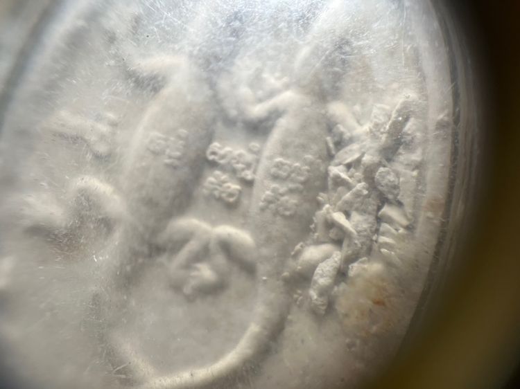 จิ้งจกสองหาง มหาลาภ รูปที่ 4