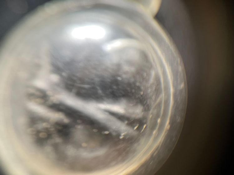 ตุ๊กตามหาเสน่ห์ รูปที่ 3