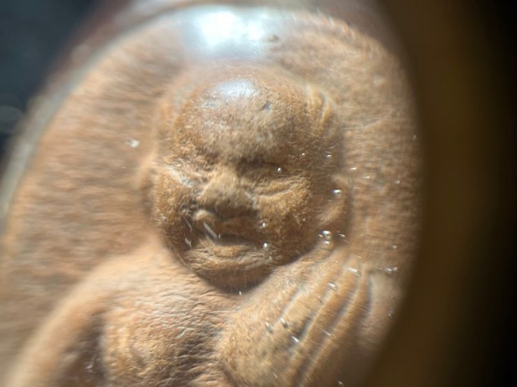 ขุนช้าง รูปที่ 3