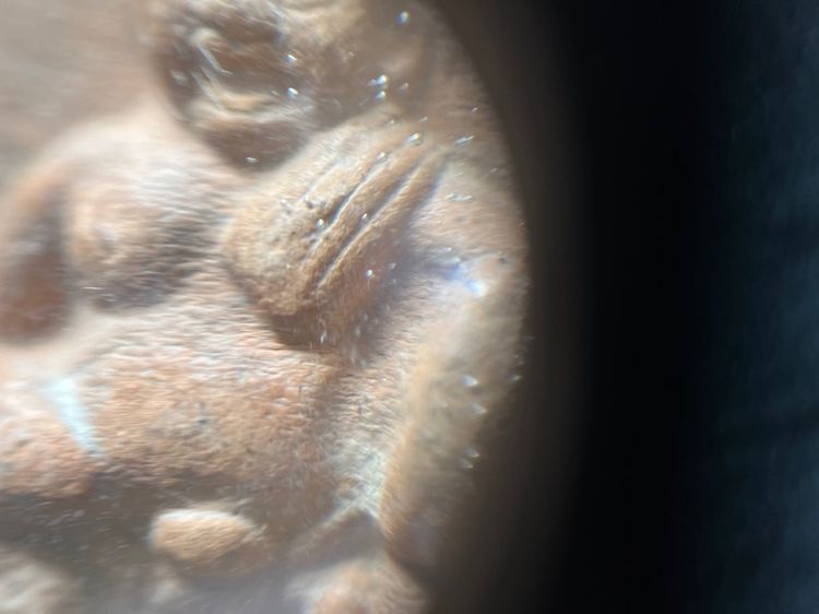 ขุนช้าง รูปที่ 4