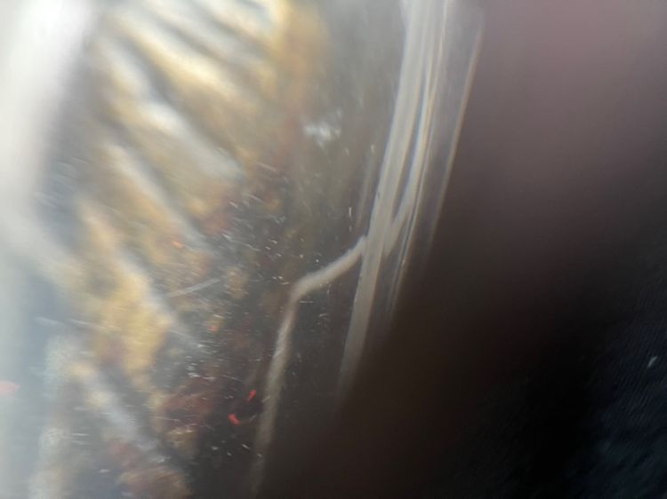 หลวงปู่เทพโลกอุดร อุ้มบาตร รูปที่ 8