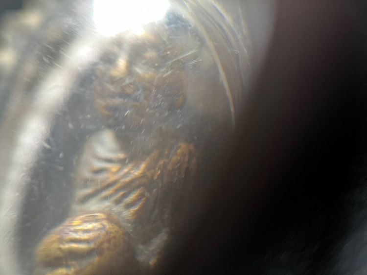 หลวงปู่เทพโลกอุดร อุ้มบาตร รูปที่ 3