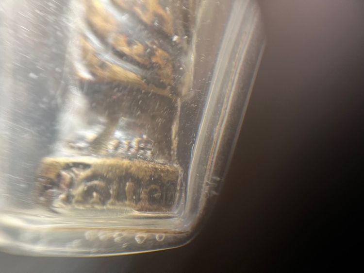 หลวงปู่เทพโลกอุดร อุ้มบาตร รูปที่ 6