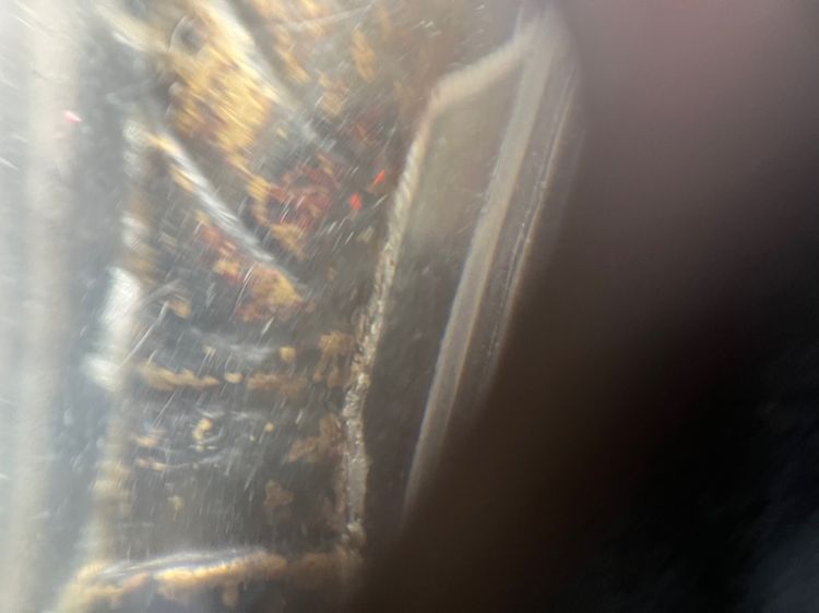 หลวงปู่เทพโลกอุดร อุ้มบาตร รูปที่ 9