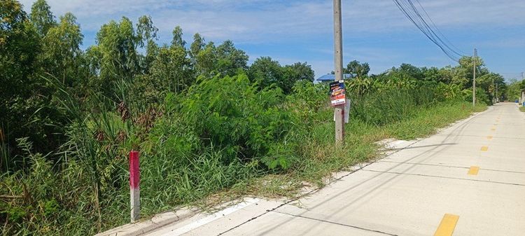 ขายที่ดินเปล่าเดิมๆซอยไอยรา22 (พื้นที่สีเขียว) เหมาะสำหรับที่อยู่อาศัย ห้องพักให้เช่า รูปที่ 2