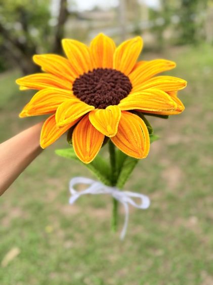 ดอกทานตะวัน รูปที่ 3