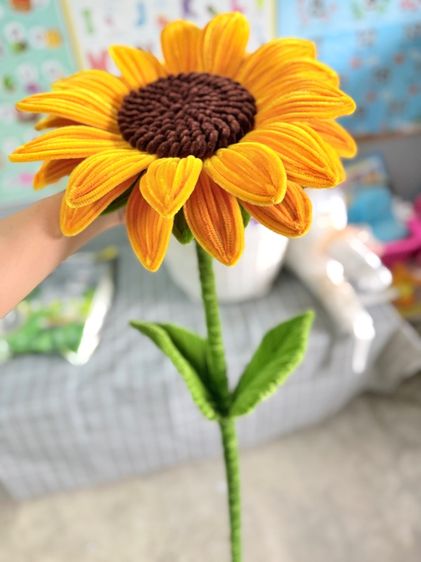 ดอกทานตะวัน รูปที่ 9