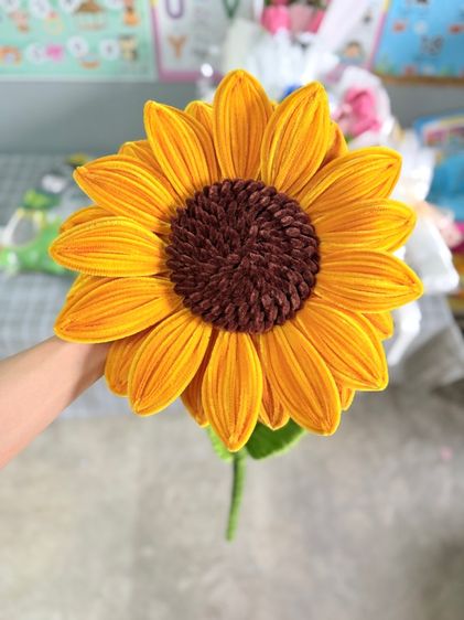 ดอกทานตะวัน รูปที่ 8