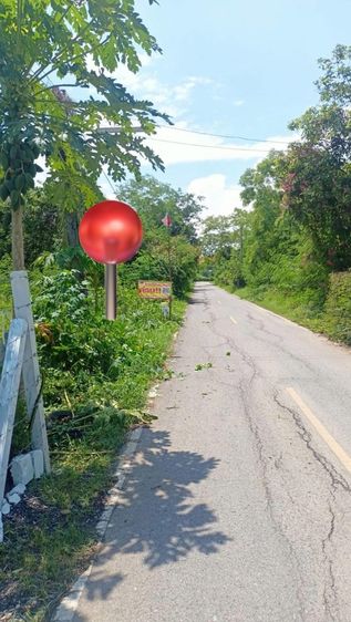 ขายที่ดินแปลงเล็กเสาไห้สระบุรี 50ตร.วา ราคา370,000 บาท ใกล้วัดป่าสักตำบลศาลารีไทยสระบุรี0934415691 รูปที่ 3