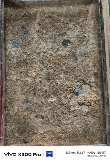 พระสมเด็จเก่าๅ รูปที่ 4