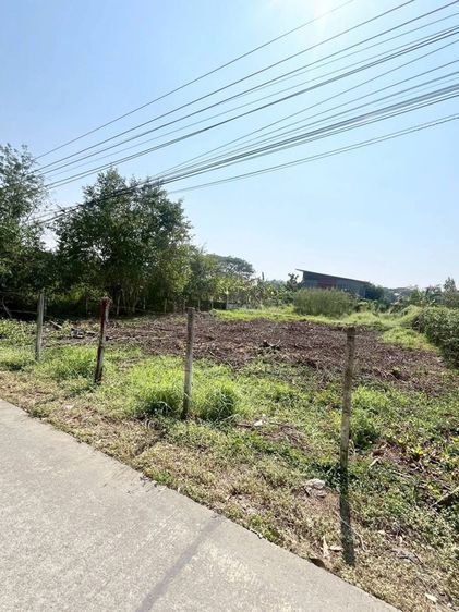 ใช่ ที่ดินใกล้การไฟฟ้าสันกำแพง 93.5 ตร.ว รูปที่ 3