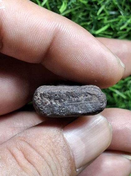 เนื้อแห้งเก่าจัด พระปิดตาเนื้อผงคลุกรักเก่า รูปที่ 4