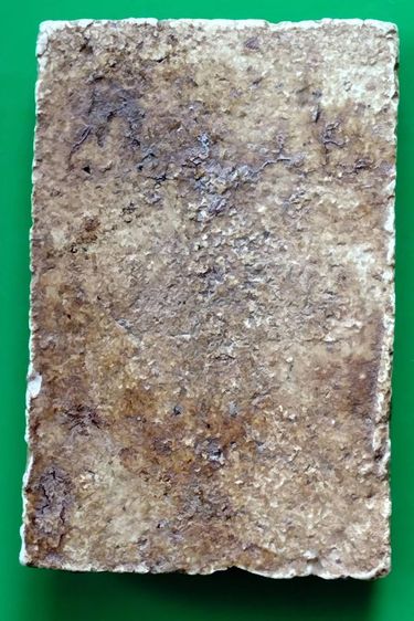 พระสมเด็จ วัดระฆัง บางขุนพรหม วัดเกศไชโย หลวงปู่ภู หลวงปู่นาค รูปที่ 4