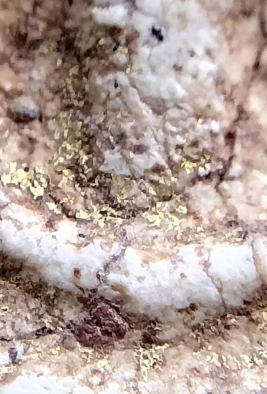 พระสมเด็จ วัดระฆัง บางขุนพรหม วัดเกศไชโย หลวงปู่ภู หลวงปู่นาค รูปที่ 2