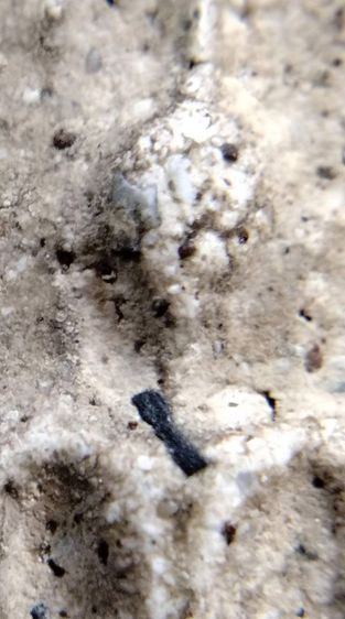 พระสมเด็จ วัดระฆัง บางขุนพรหม วัดเกศไชโย หลวงปู่ภู หลวงปู่นาค รูปที่ 14