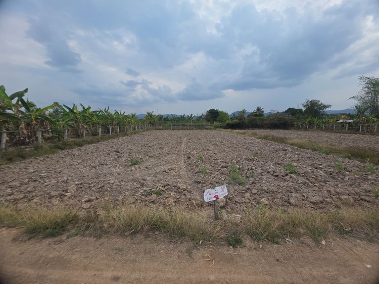 ขายที่นา 2 งาน 270,000 บาท รูปที่ 3