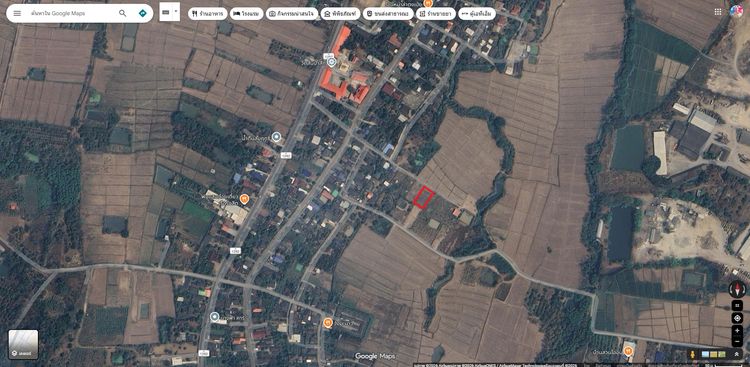 ขายที่นา 2 งาน 270,000 บาท รูปที่ 4