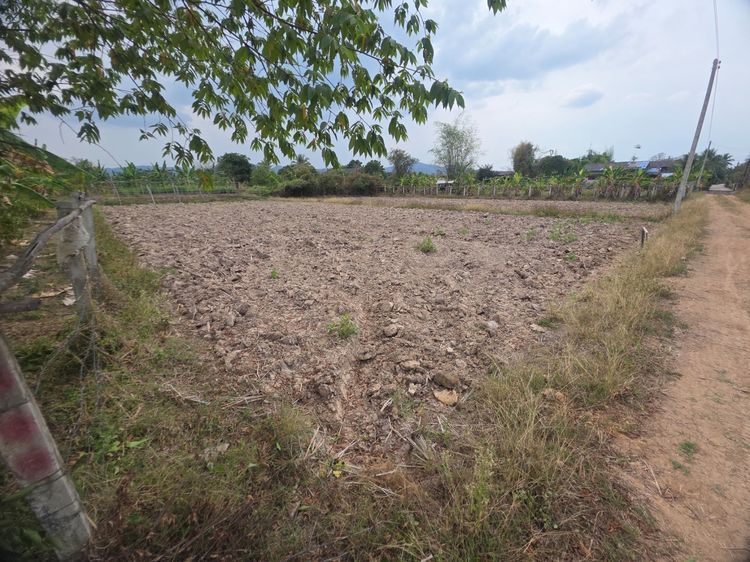 ขายที่นา 2 งาน 270,000 บาท