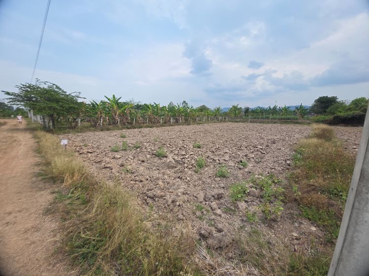 ขายที่นา 2 งาน 270,000 บาท รูปที่ 2