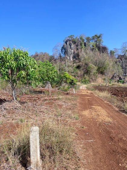 ขายที่ดินวิวภูเขา1ไร่1งาน รูปที่ 4