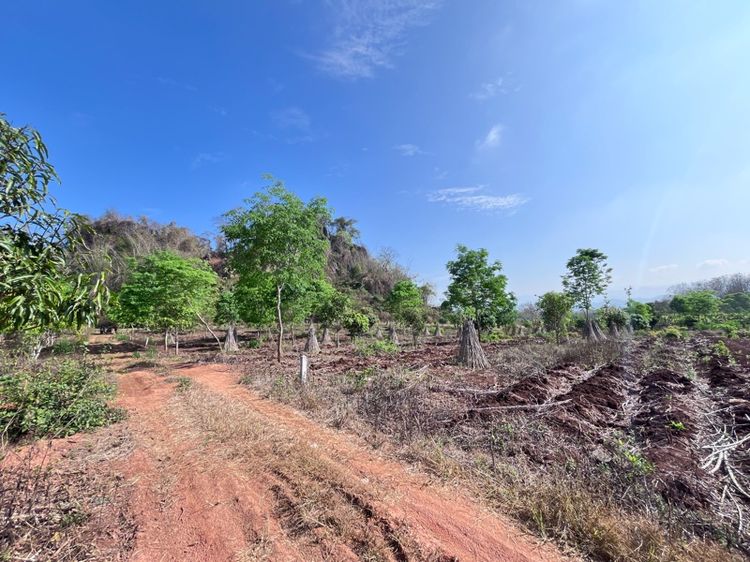 ขายที่ดินวิวภูเขา1ไร่1งาน