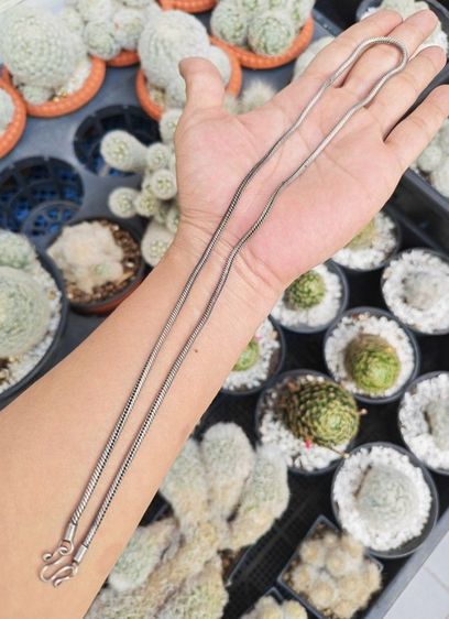 สร้อยคอเงินแท้ งานเก่า สวยๆราคาแบ่งปันครับ รูปที่ 2