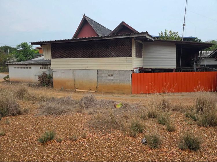 ไม่ใช่ ที่ดินติดริมแม่น้ำแม่กลอง 2 งาน สวยจัด รูปที่ 2