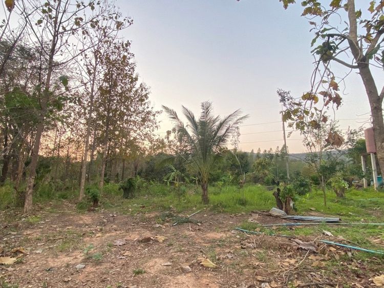 ไม่ใช่ ขายที่ดินติดถนนสี่เลน 2 ไร่ วิวภูเขา ใกล้ตลาด  รูปที่ 4