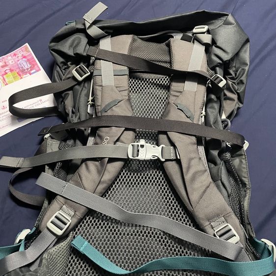 Osprey  รูปที่ 3