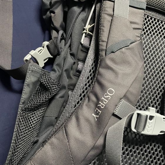 Osprey  รูปที่ 5